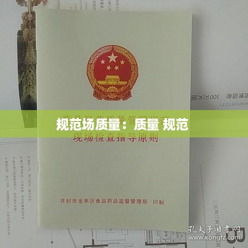 规范场质量：质量 规范 