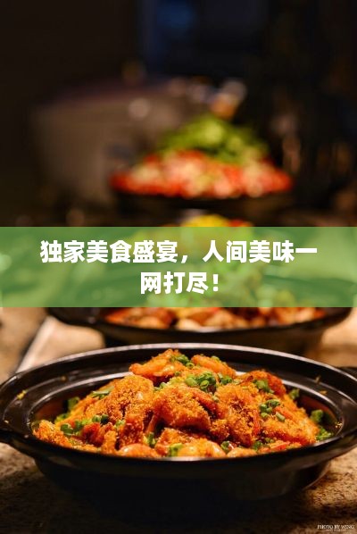 独家美食盛宴，人间美味一网打尽！