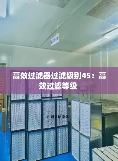 高效过滤器过滤级别45：高效过滤等级 