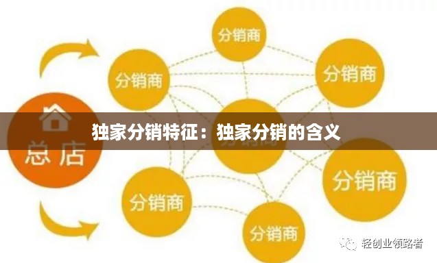独家分销特征：独家分销的含义 