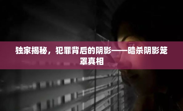 独家揭秘，犯罪背后的阴影——暗杀阴影笼罩真相