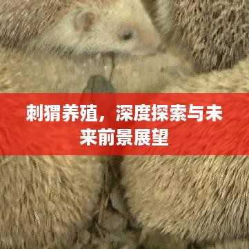 刺猬养殖，深度探索与未来前景展望