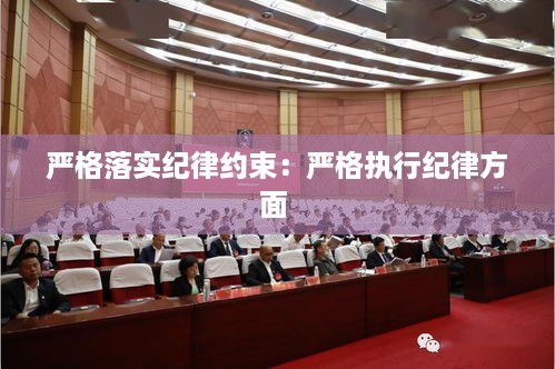 严格落实纪律约束：严格执行纪律方面 