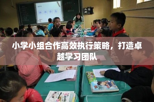 小学小组合作高效执行策略，打造卓越学习团队