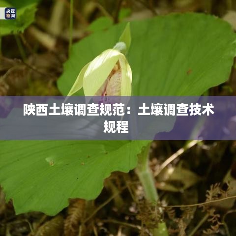 初告白 第3页