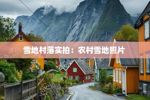 雪地村落实拍：农村雪地照片 