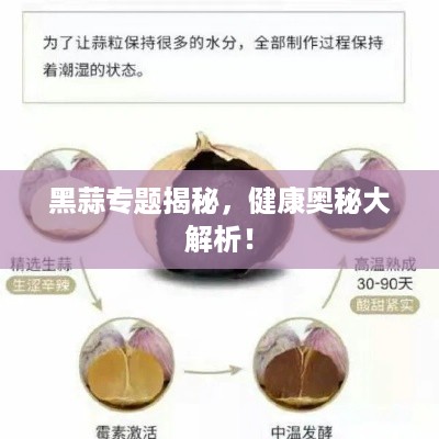 黑蒜专题揭秘，健康奥秘大解析！