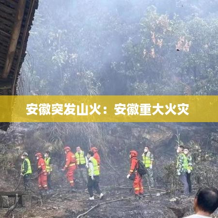 安徽突发山火：安徽重大火灾 