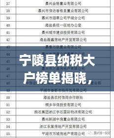 宁陵县纳税大户榜单揭晓，前十名企业荣耀上榜！