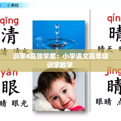 识字4高效学案：小学语文高年级识字教学 