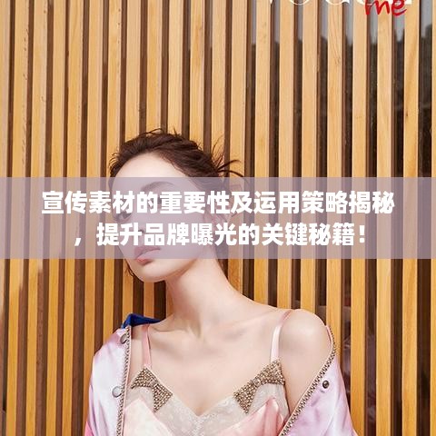宣传素材的重要性及运用策略揭秘，提升品牌曝光的关键秘籍！