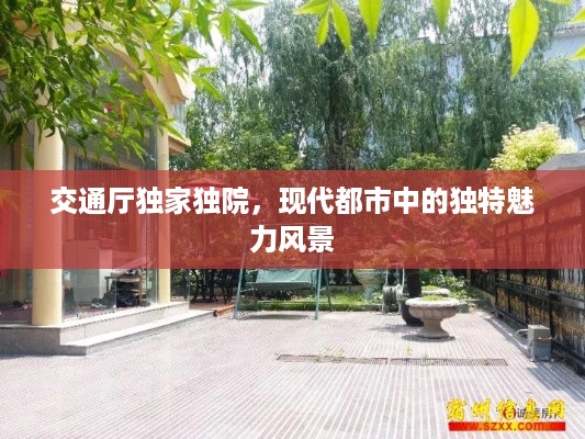 交通厅独家独院，现代都市中的独特魅力风景