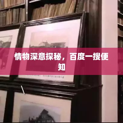 情物深意探秘，百度一搜便知