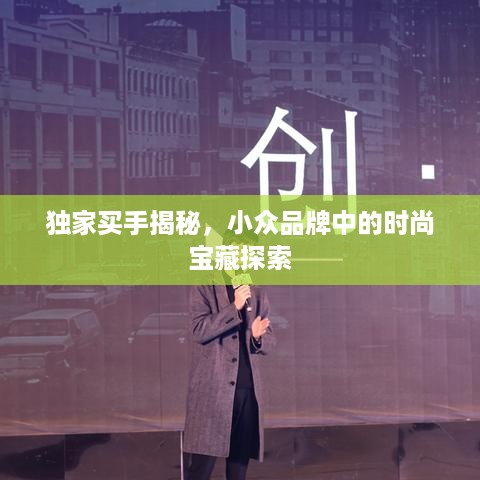 独家买手揭秘，小众品牌中的时尚宝藏探索