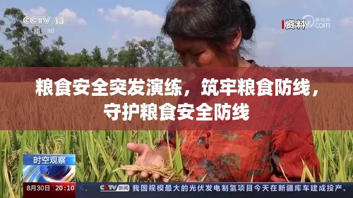 粮食安全突发演练，筑牢粮食防线，守护粮食安全防线