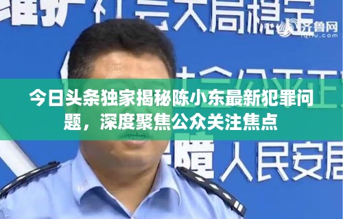 今日头条独家揭秘陈小东最新犯罪问题，深度聚焦公众关注焦点