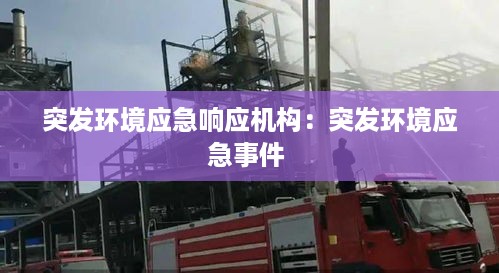 突发环境应急响应机构：突发环境应急事件 