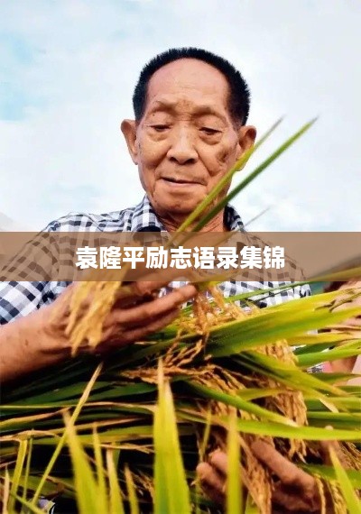 袁隆平励志语录集锦