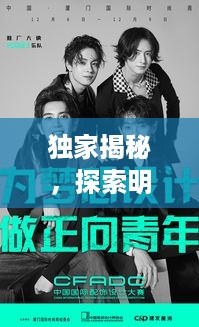 独家揭秘，探索明星魅力的独特视角