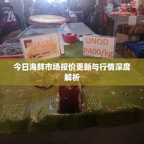今日海鲜市场报价更新与行情深度解析