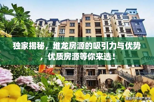 亘古新闻 第2页