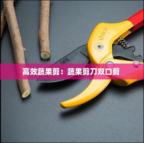 高效蔬果剪：蔬果剪刀双口剪 