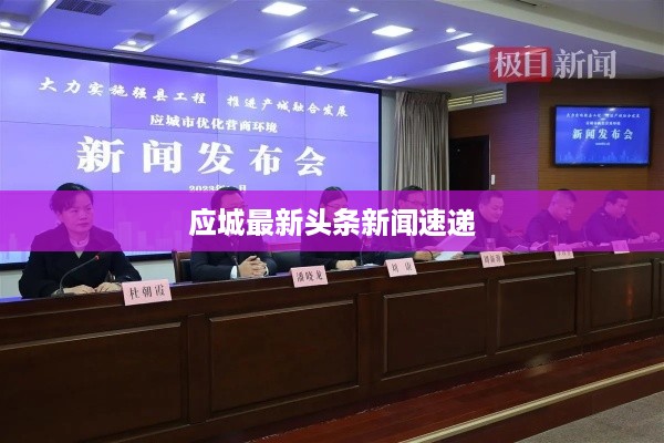 应城最新头条新闻速递