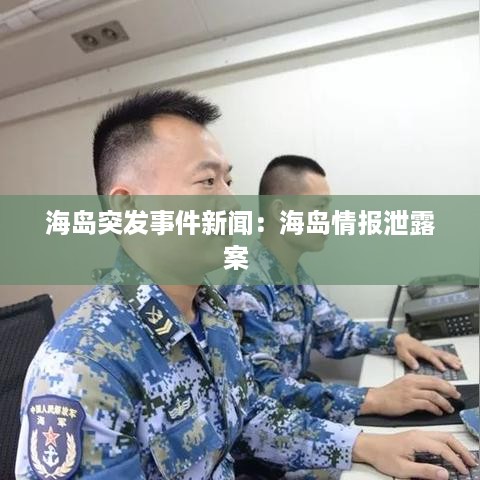 海岛突发事件新闻：海岛情报泄露案 