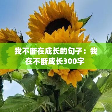 我不断在成长的句子：我在不断成长300字 