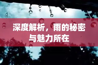 深度解析，雨的秘密与魅力所在