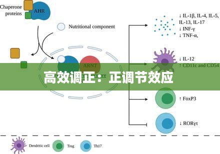 高效调正：正调节效应 