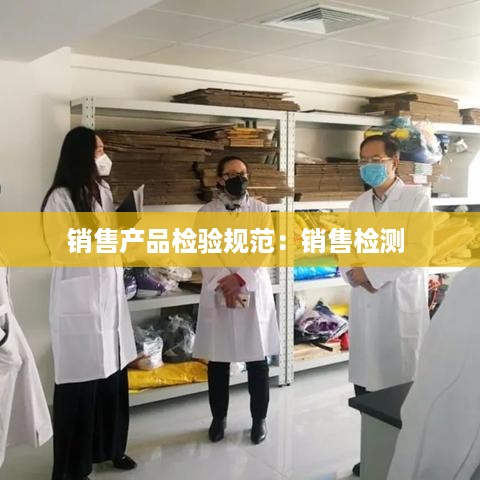 销售产品检验规范：销售检测 