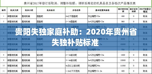 贵阳失独家庭补助：2020年贵州省失独补贴标准 