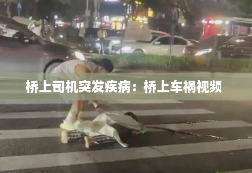 桥上司机突发疾病：桥上车祸视频 