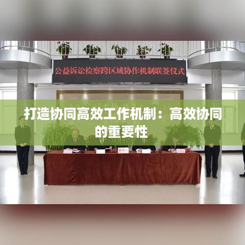 打造协同高效工作机制：高效协同的重要性 