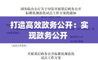 打造高效政务公开：实现政务公开 