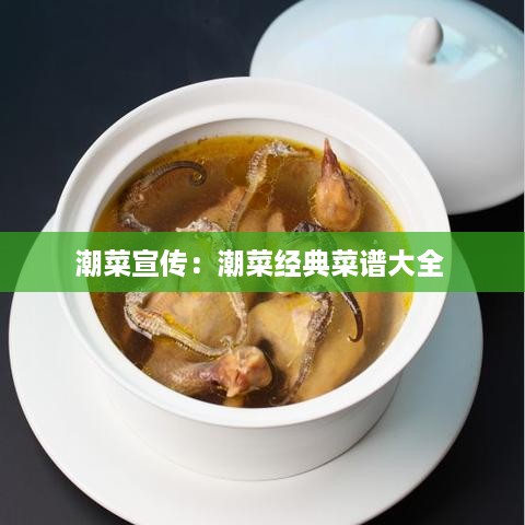 潮菜宣传：潮菜经典菜谱大全 