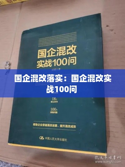 国企混改落实：国企混改实战100问 