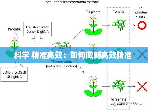 科学 精准高效：如何做到高效精准 