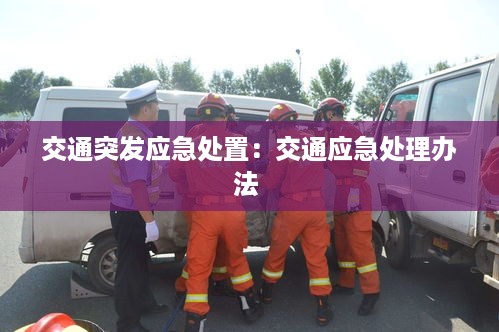 交通突发应急处置：交通应急处理办法 