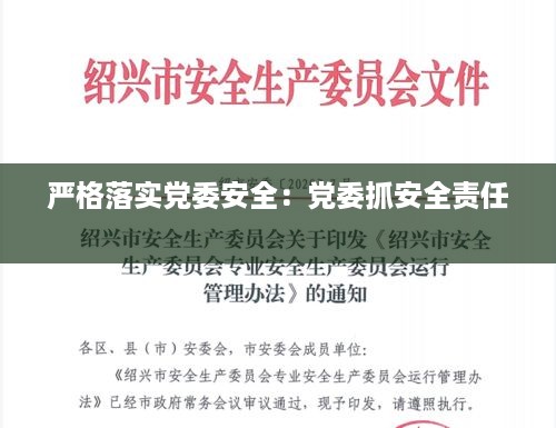 严格落实党委安全：党委抓安全责任 