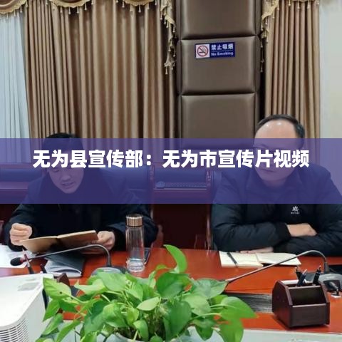 无为县宣传部：无为市宣传片视频 
