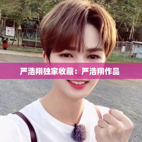 严浩翔独家收藏：严浩翔作品 