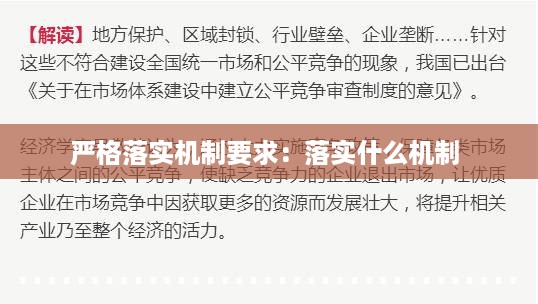 严格落实机制要求：落实什么机制 