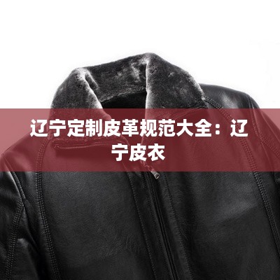 辽宁定制皮革规范大全：辽宁皮衣 