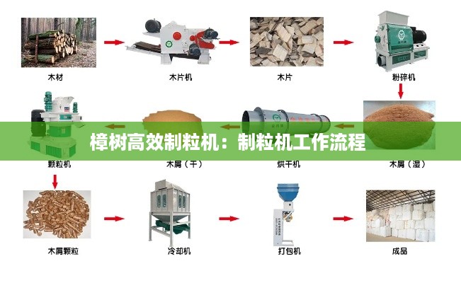 樟树高效制粒机：制粒机工作流程 
