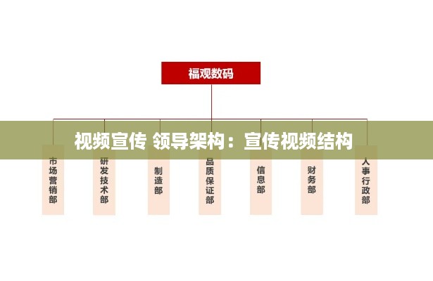视频宣传 领导架构：宣传视频结构 