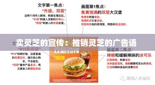 卖灵芝的宣传：推销灵芝的广告语 