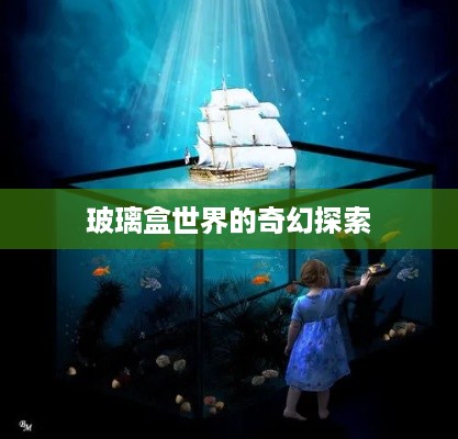 玻璃盒世界的奇幻探索