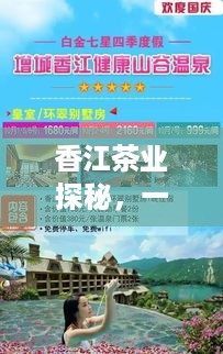 香江茶业探秘，一份完整的旅游攻略